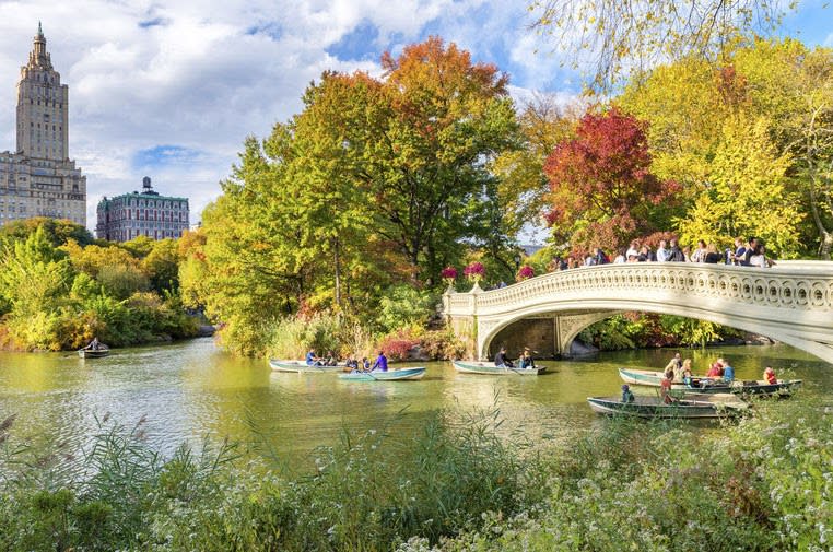 The Market Report - October 2020