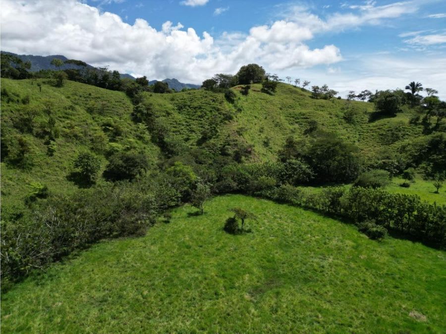 Farm with Mountain Range and River