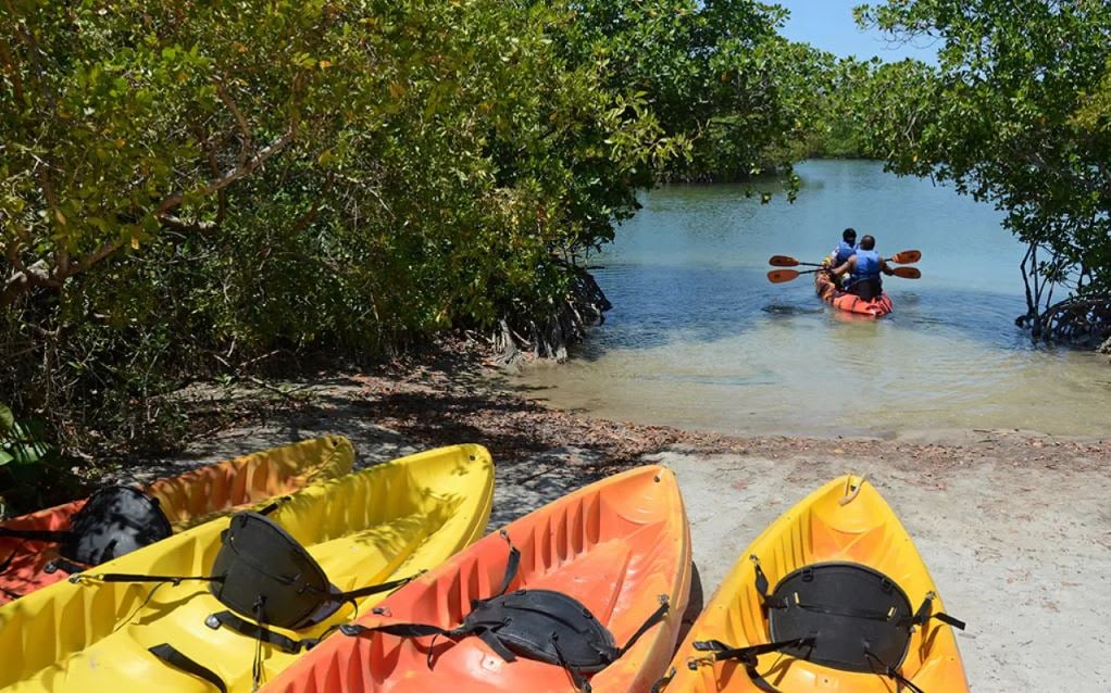 6 Day Trips in the Miami Areas