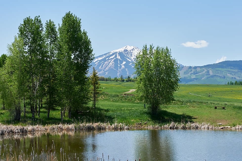 The Ultimate Luxury Aspen Estate 