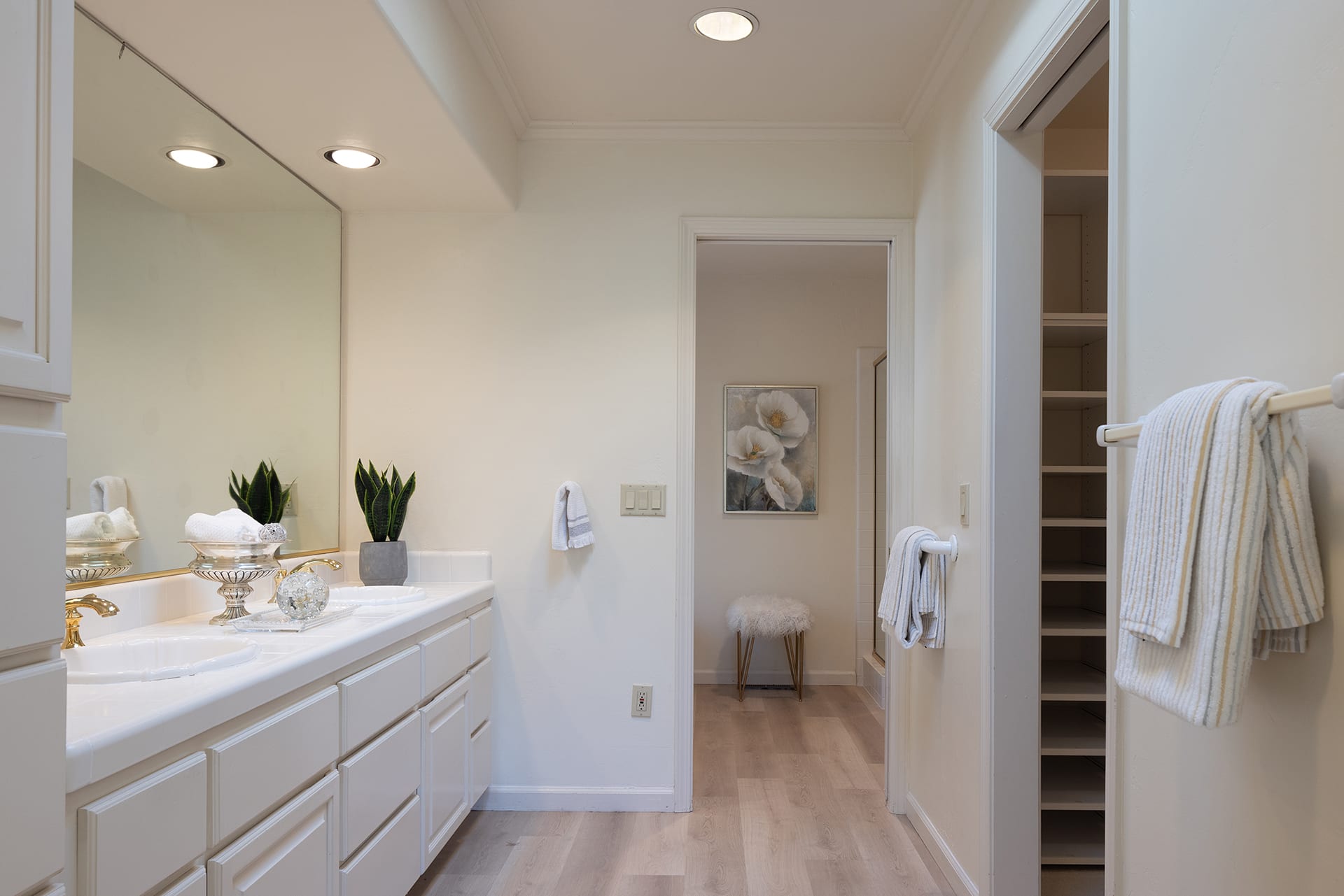 Carmel Valley Oasis - 28003 Mercurio Road