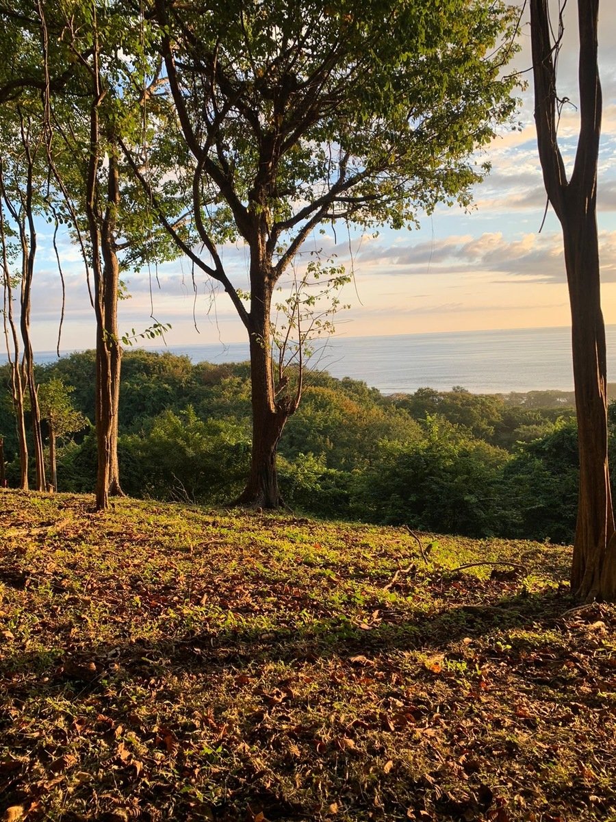 Sustainable Ocean View Lot, Nosara, Guanacaste