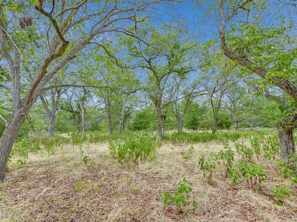 CLC Confluence Ranch