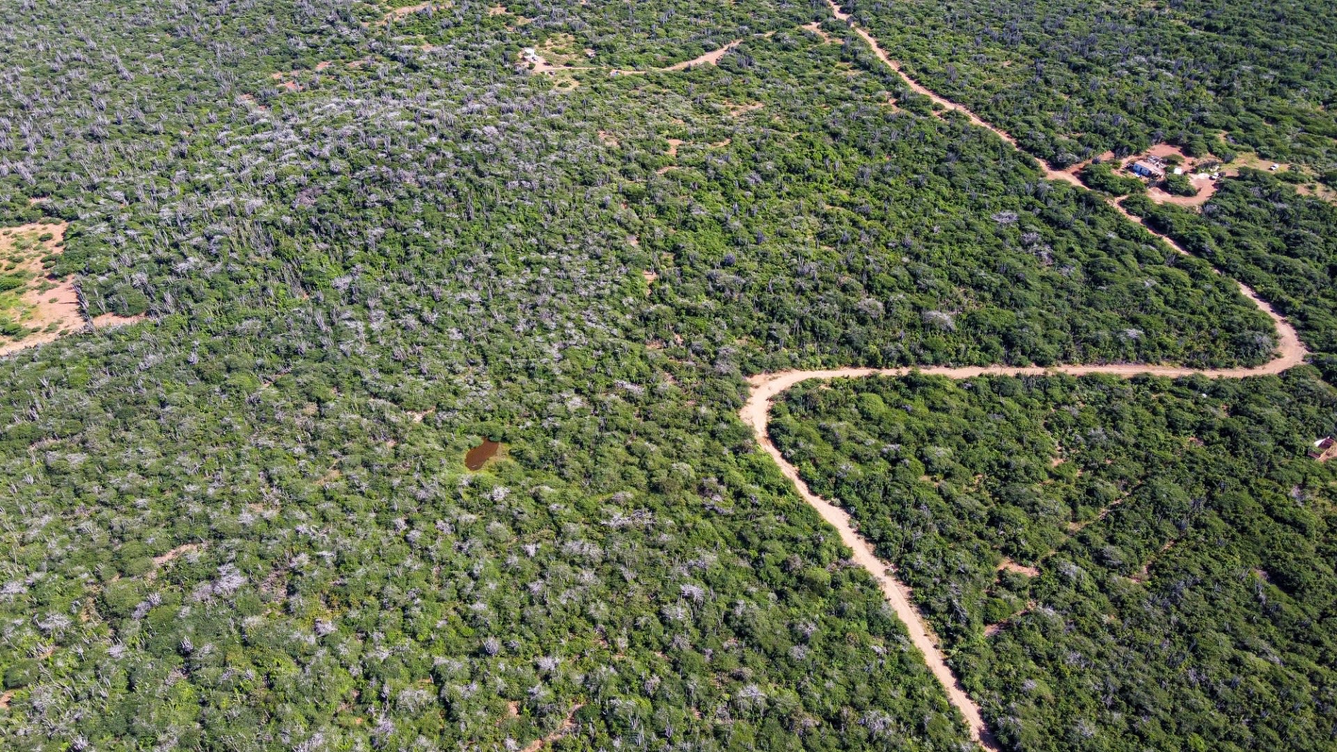 Property land Bonaire
