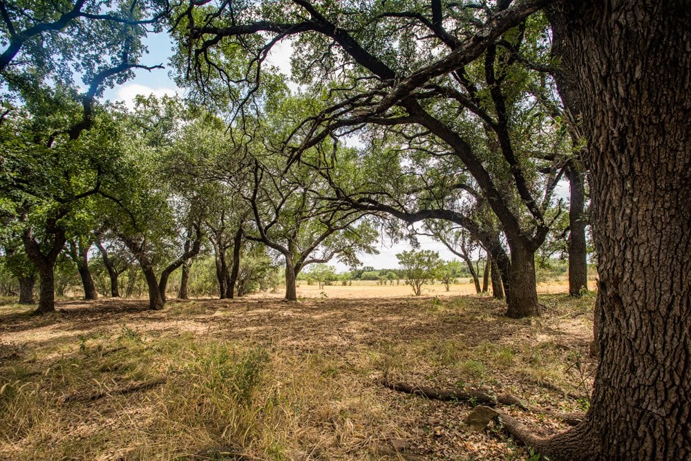 Llano River