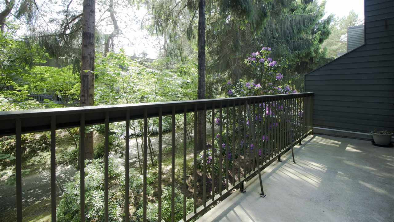 7329 Capistrano Dr