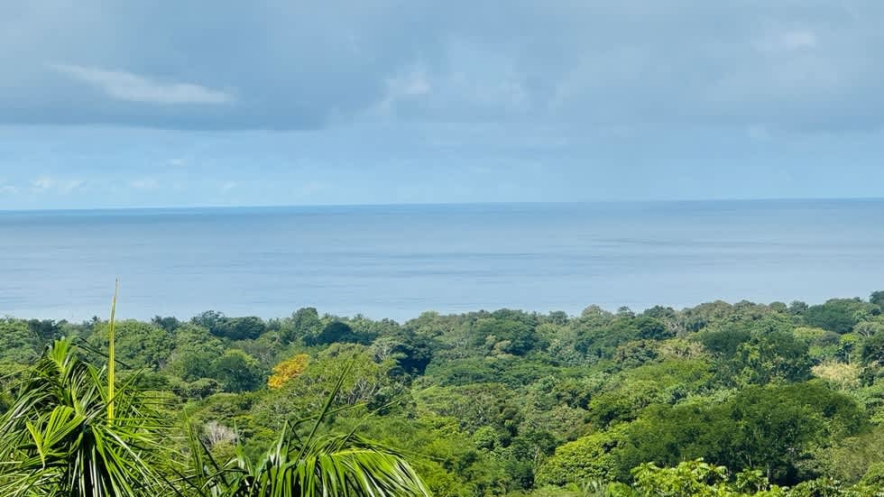 Tranquil Luxury Retreat with Stunning Ocean Views in Uvita