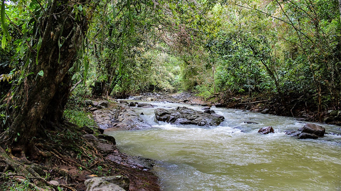 Private Riverfront Waterfall Retreat, Perez Zeledon, San Jose
