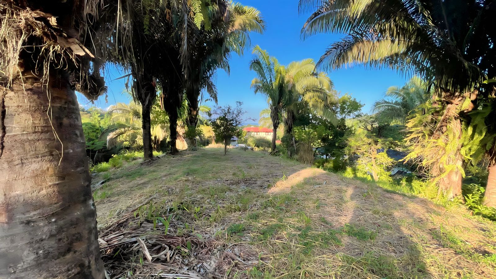  Exclusive Hermosa 1.2 Acre Lot with Panoramic Mountains and Ocean View. 