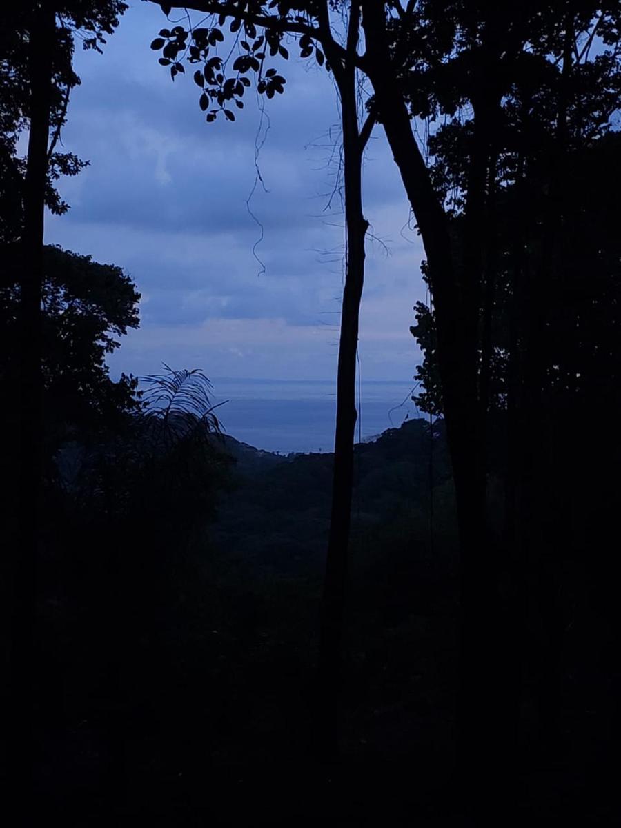 Private Ocean View Development Lot, Dominical, Puntarenas