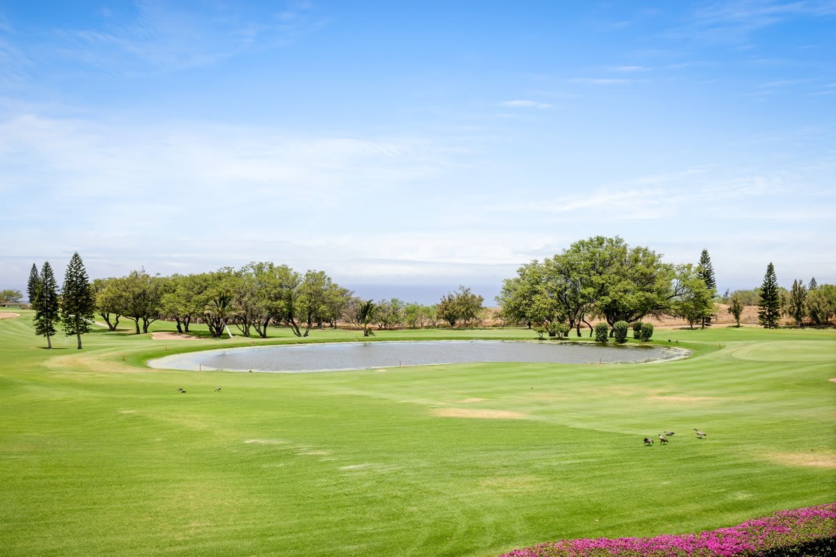 Waikoloa Fairways A207