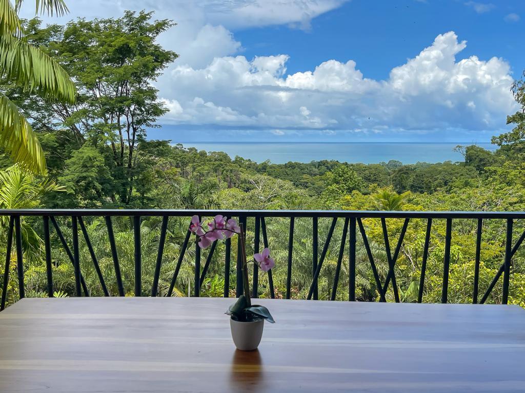 3 Bedroom Home With Stunning Ocean & Jungle Views - 18.94 Acres