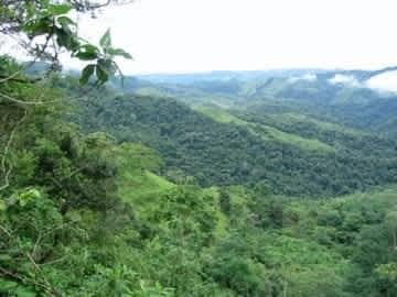 Biophilia Nature Preserve