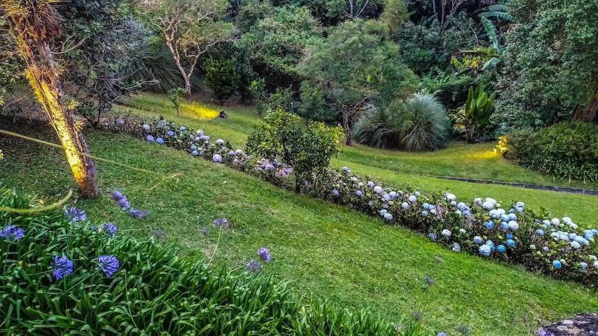Mediterranean Volcano View Villa, Escazu, San Jose