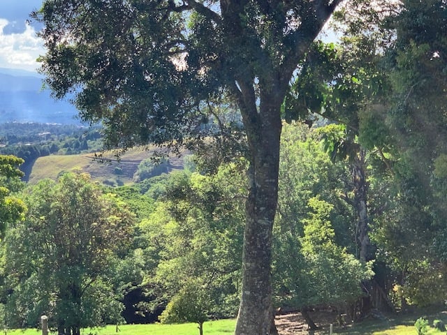 Vast Mountain Farm Acreage, Heredia