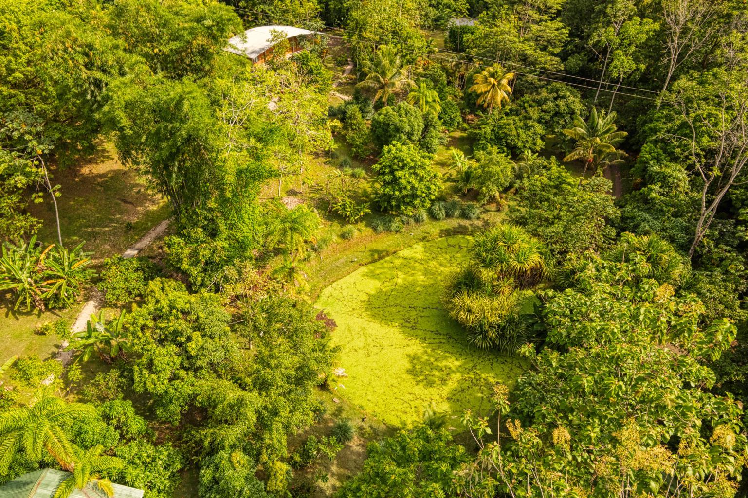 Exceptional Retreat Center on 62 Acre in Tinamastes