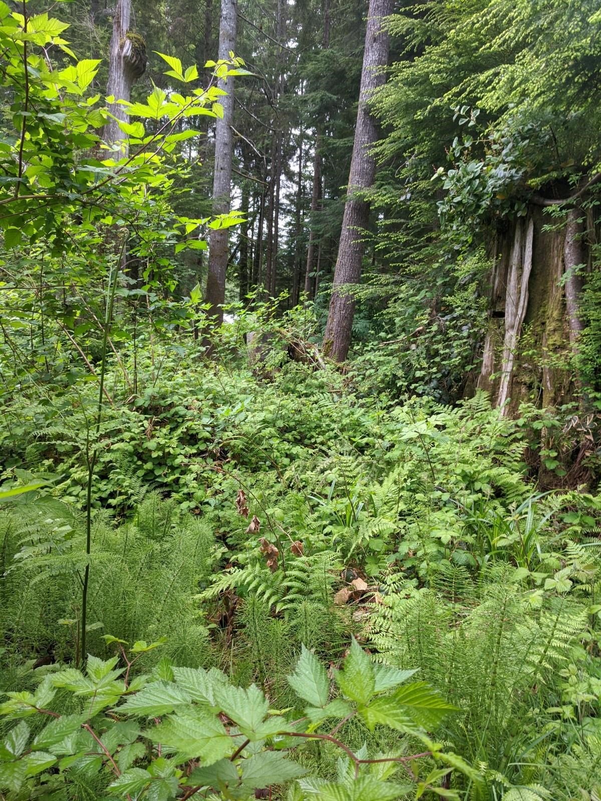 Lot 62 West Bay Rd