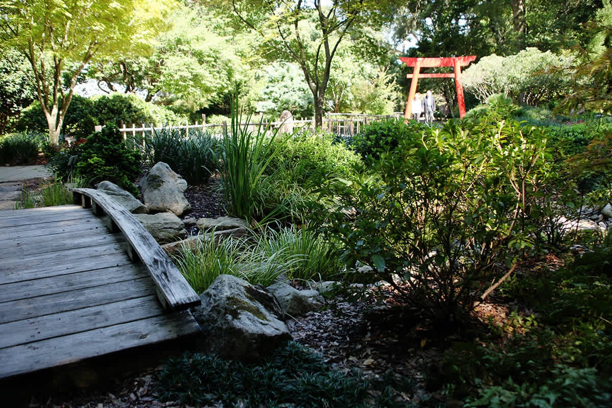 Glorious Gardens