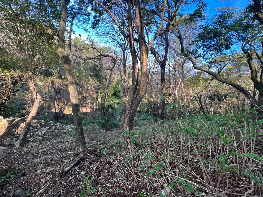 Gated Community Ready Build Lot, Santa Teresa, Puntarenas