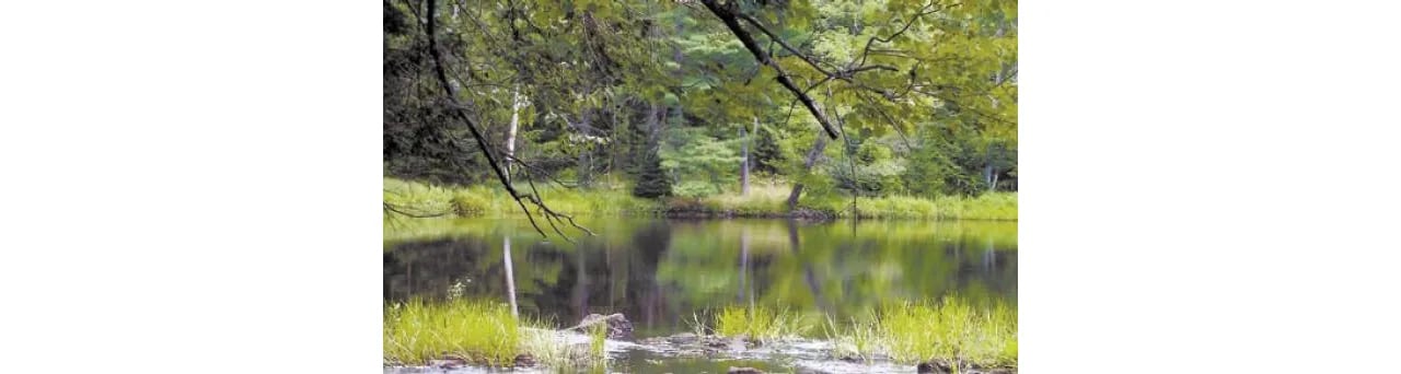 Highland Green Embodies Maine Lifestyle
