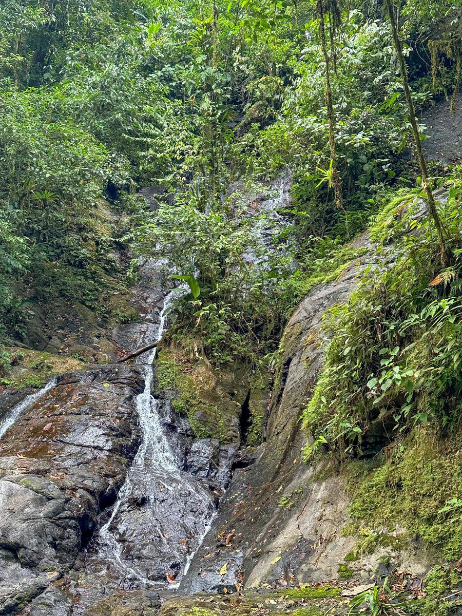 Waterfall Rainforest River Estate, Uvita, Puntarenas