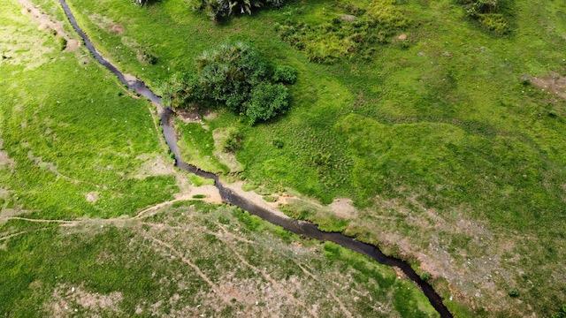 1836 Acre Farm With Streams and Primary Jungle at the Basin of Sierpe