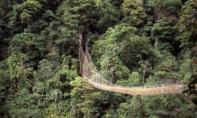 Rainforest Nature Reserve, Manuel Antonio, San Jose