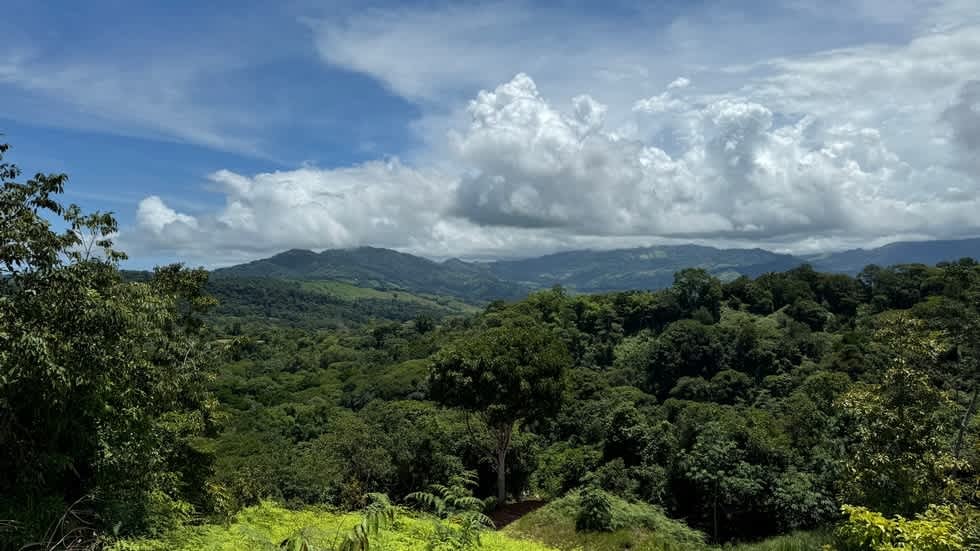 New Ocean View Community in Dominical Costa Rica