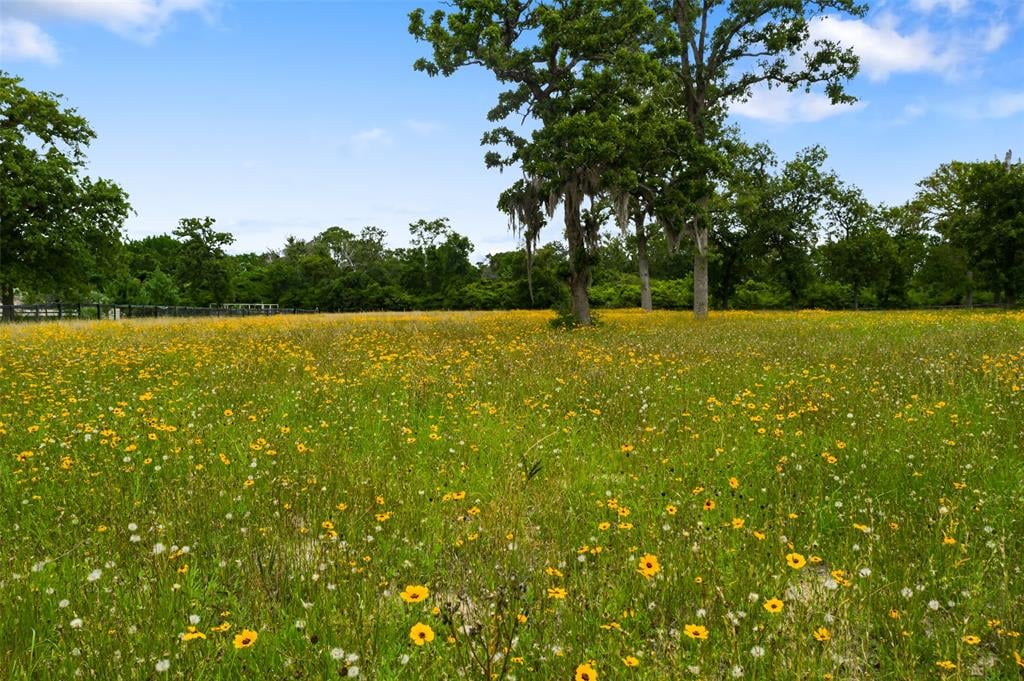 461 Piney Creek Rd Bellville, Tx 77418