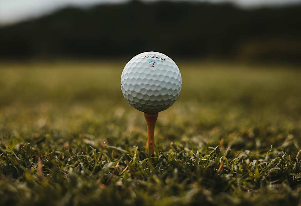 4 Best Golf Courses in Newton, MA