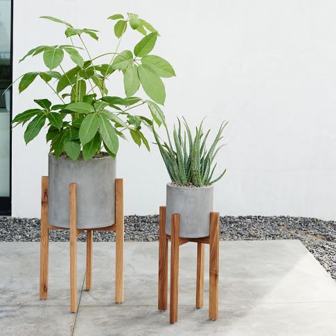 Trend Alert: Green Elements