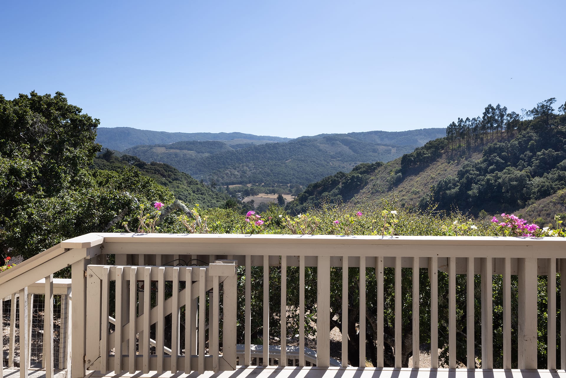 Carmel Valley Oasis - 28003 Mercurio Road