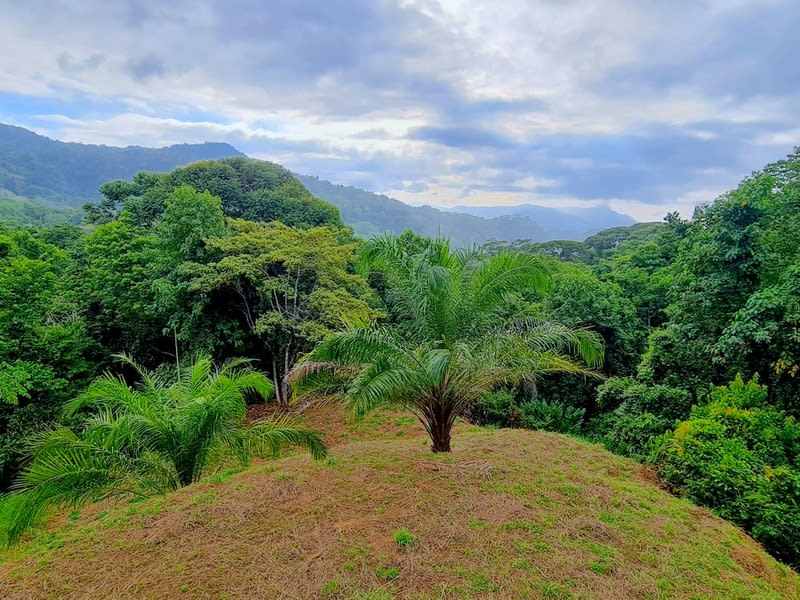 Amazing lot between Uvita and Dominical close to the Ocean