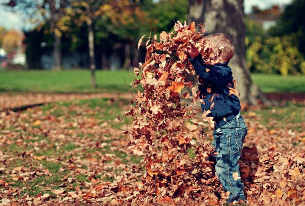 Every Home Needs to Prepare for Fall: Use This Checklist