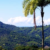 Zen Japanese Tropical Home, Dominical, Puntarenas