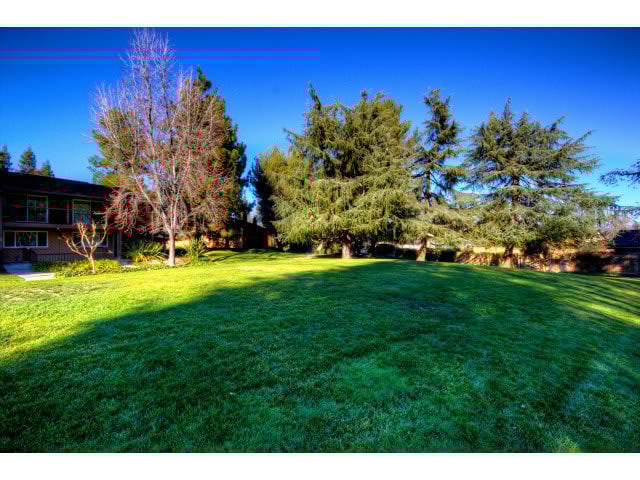 6090 Calle De Amor