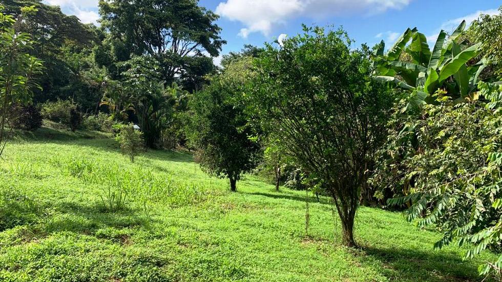 Ocean View Property with a Prime Location and Legal Water in Escaleras Dominical