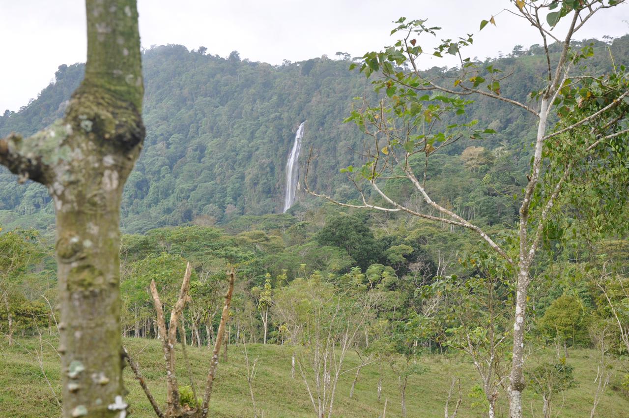 Waterfall View Farm On 80% Usable Land In Uvita