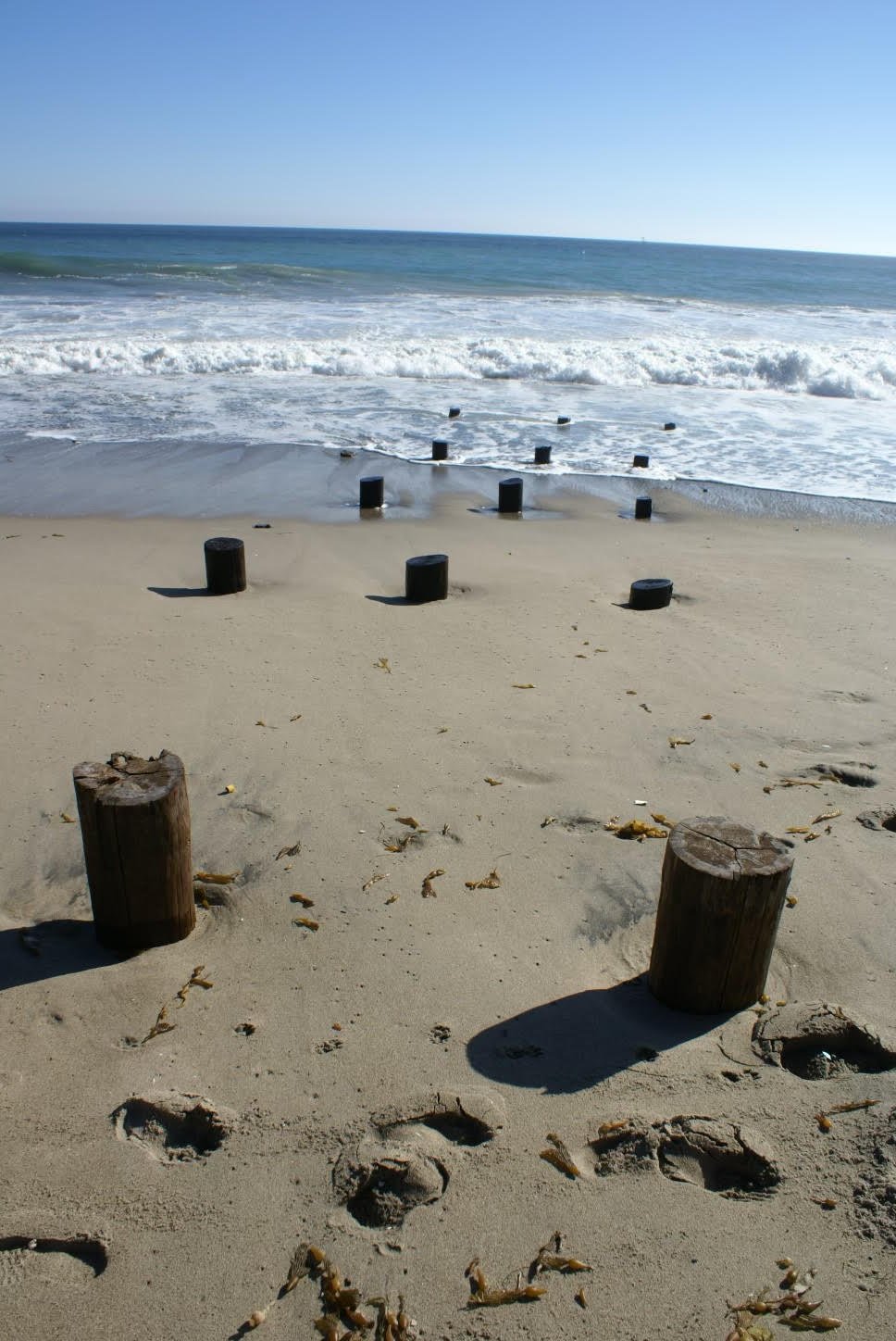 The Piers of Malibu