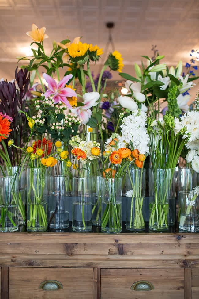 Bee’s Knees: Charlottesville Stuff We Dig!