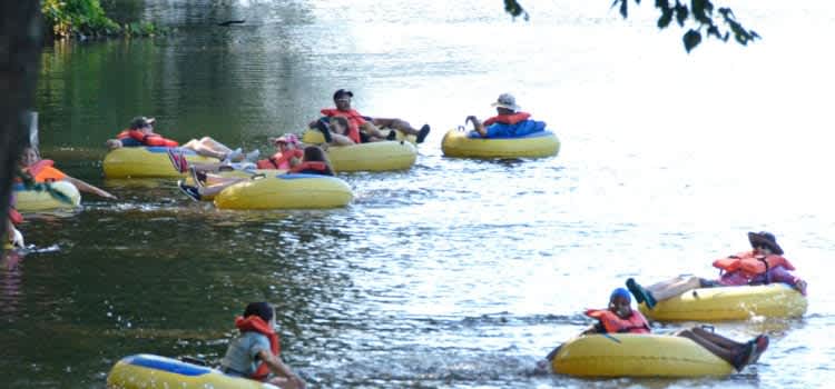 Northern Virginia Bucket List: Tube down Rappahannock River