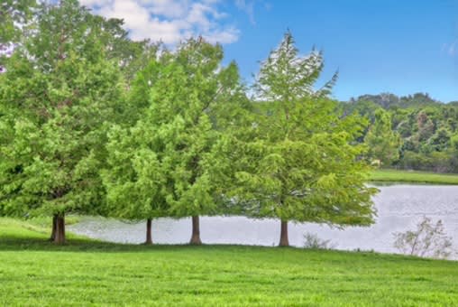 11625 FM 2447 Chappell Hill, Tx 77426