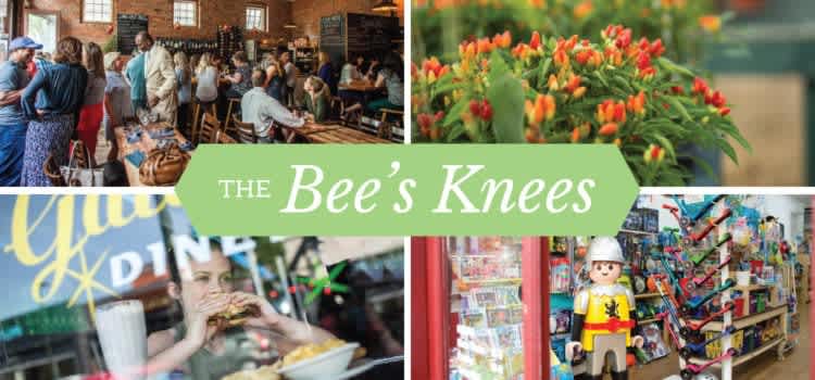 The Bee’s Knees – Part 2