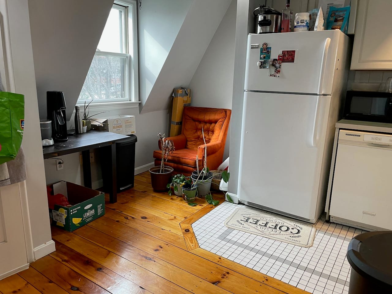 JUNE - Unique Duplex 2 Bedroom 2 Bathroom w/ Roof Access & Common Laundry! 