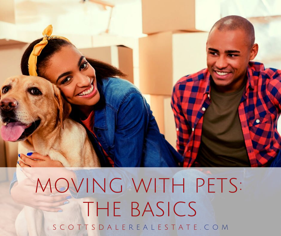 Moving With Pets: The Basics