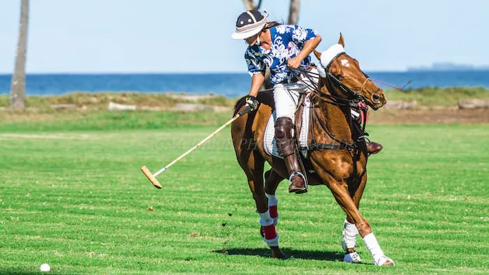 Hawaii Polo Club