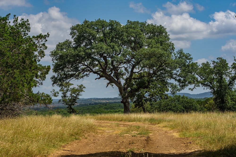 Sister Creek Ranch