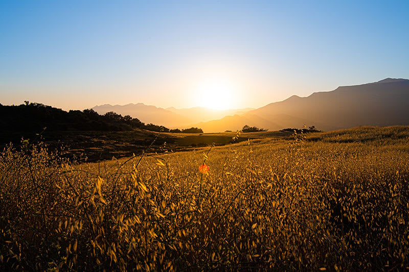 Ojai