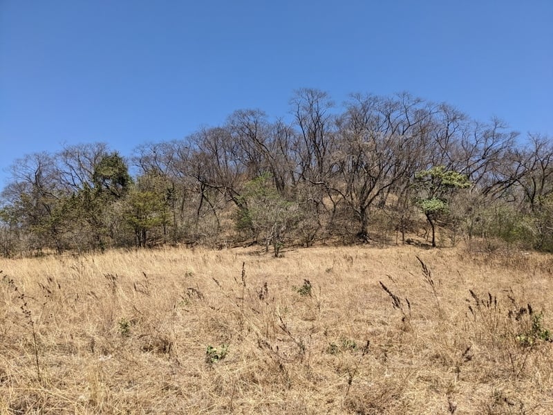Ocean View Development Land, Tamarindo, Guanacaste