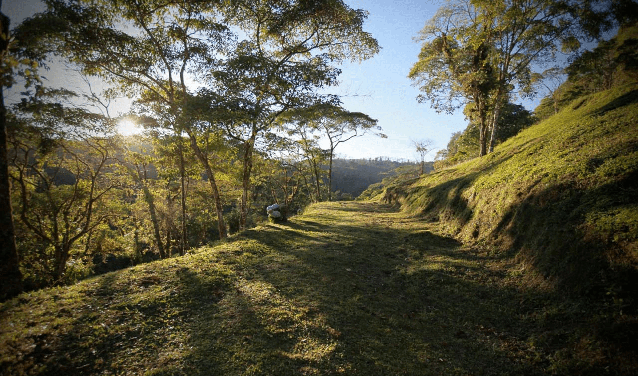 Waterfall Sanctuary with Hiking Trails